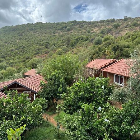 The Mussel House Villa Ksamil Exterior photo