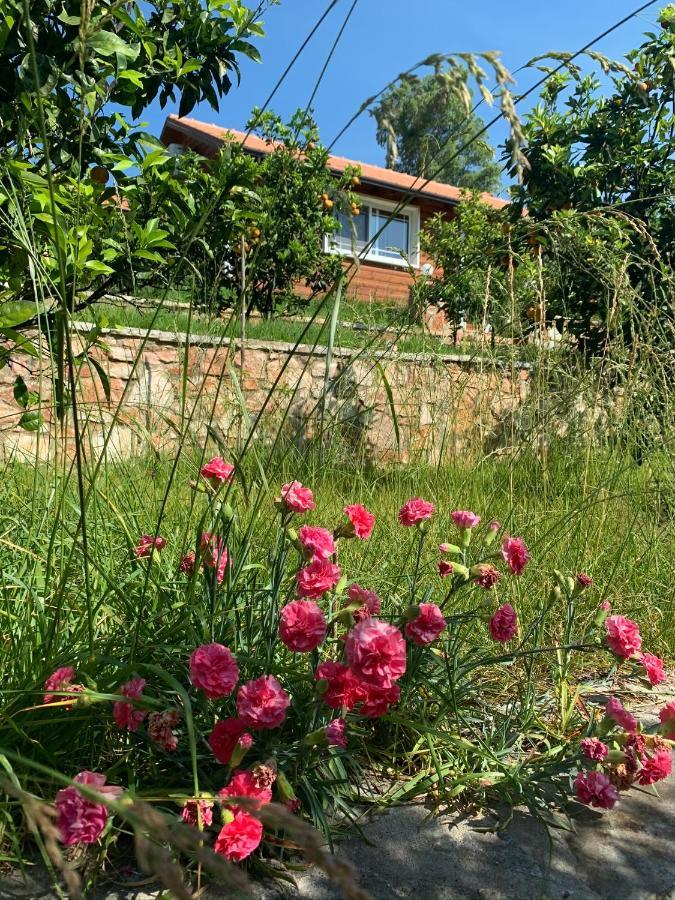 The Mussel House Villa Ksamil Exterior photo